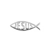 Sticker fish