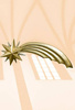 Star - Figure (49 cm)